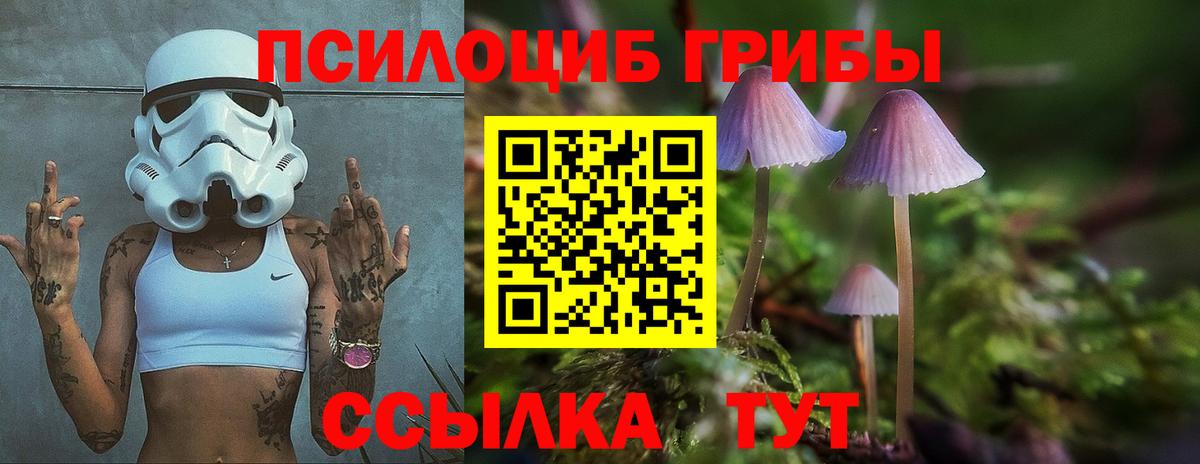 Дербент  дарнет шоп  Вход с VPN  Галлюциногенные грибы мицелий 