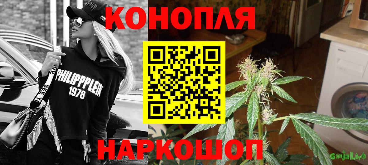 Бошки марихуана марихуана Дербент